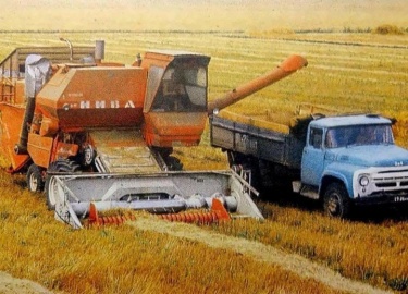 Родился Виктор Декало 26 сентября 1950 года в семье колхозников. Закончил среднюю школу № 6, после служил в рядах &nbsp;Вооруженных Сил в мотострел...